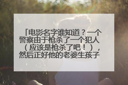 电影名字谁知道？一个警察由于枪杀了一个犯人（应该是枪杀了吧！），然后正好他的老婆生孩子，后来犯人的