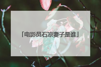 电影员石凉妻子是谁