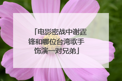 电影密战中谢霆锋和哪位台湾歌手饰演一对兄弟