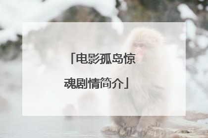 电影孤岛惊魂剧情简介