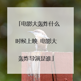 电影大轰炸什么时候上映 电影大轰炸导演是谁