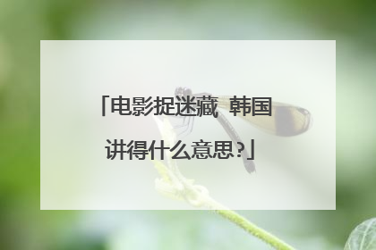 电影捉迷藏 韩国 讲得什么意思?