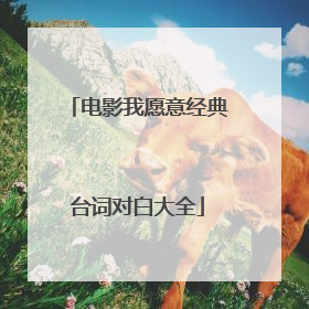 电影我愿意经典台词对白大全