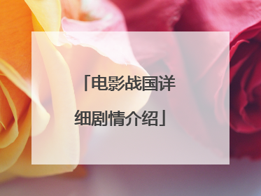 电影战国详细剧情介绍