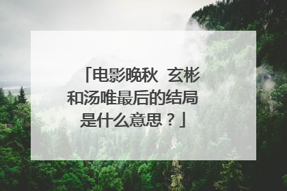 电影晚秋 玄彬和汤唯最后的结局是什么意思?