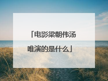 电影梁朝伟汤唯演的是什么