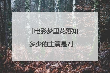 电影梦里花落知多少的主演是?
