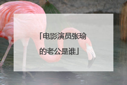 电影演员张瑜的老公是谁