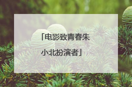电影致青春朱小北扮演者