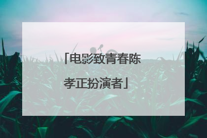 电影致青春陈孝正扮演者