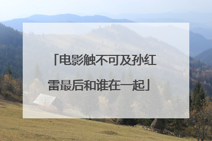电影触不可及孙红雷最后和谁在一起