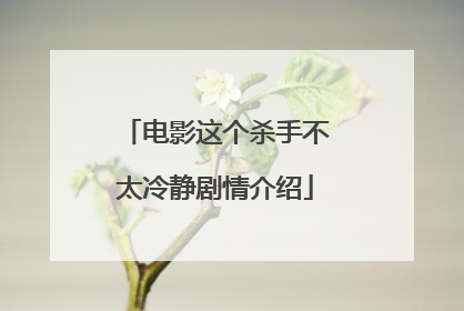 电影这个杀手不太冷静剧情介绍