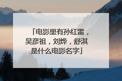电影里有孙红雷,吴彦祖,刘烨,舒淇是什么电影名字