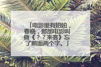 电影里有妞妞,春晓,那部电影叫做《??来客》忘了前面两个字。