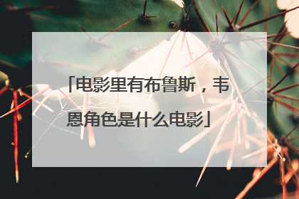 电影里有布鲁斯，韦恩角色是什么电影