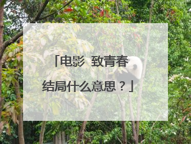 电影 致青春 结局什么意思?