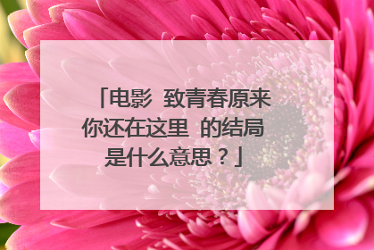 电影 致青春原来你还在这里 的结局是什么意思?