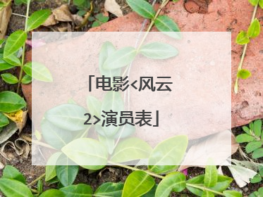 电影<风云2>演员表