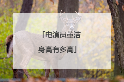 电演员董洁身高有多高