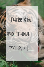电视《疯狗》主要讲了什么?