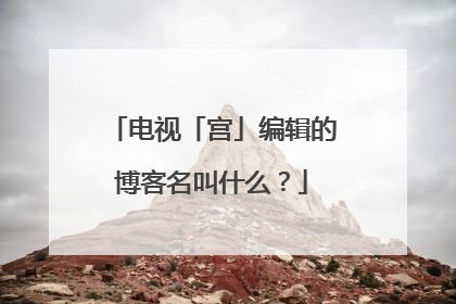 电视「宫」编辑的博客名叫什么？