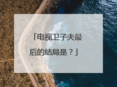 电视卫子夫最后的结局是？