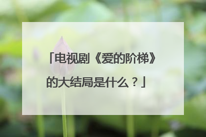 电视剧《爱的阶梯》的大结局是什么？