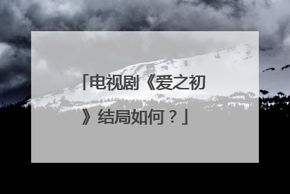 电视剧《爱之初》结局如何？