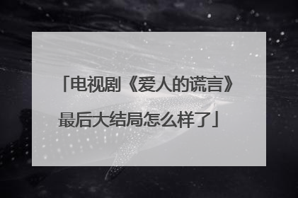 电视剧《爱人的谎言》最后大结局怎么样了