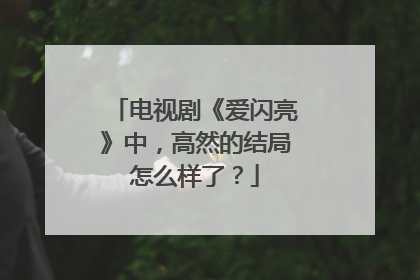 电视剧《爱闪亮》中，高然的结局怎么样了？