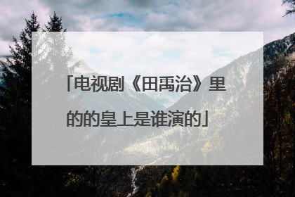 电视剧《田禹治》里的的皇上是谁演的