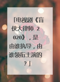电视剧《盲侠大律师 2020》，是由谁执导，由谁领衔主演的？
