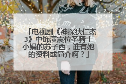 电视剧《神探狄仁杰3》中饰演震位圣骑士小娟的苏子西,谁有她的资料或简介啊?