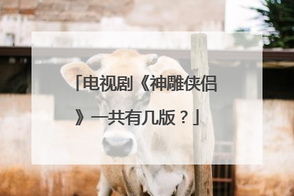 电视剧《神雕侠侣》一共有几版？