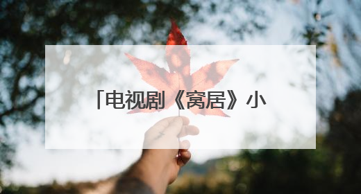 电视剧《窝居》小贝的结局是什么？