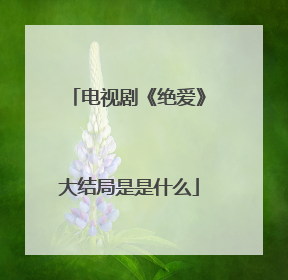 电视剧《绝爱》大结局是是什么