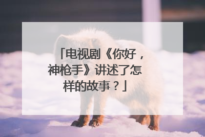 电视剧《你好，神枪手》讲述了怎样的故事？