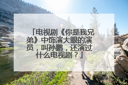 电视剧《你是我兄弟》中饰演大眼的演员，叫孙鹏，还演过什么电视剧？