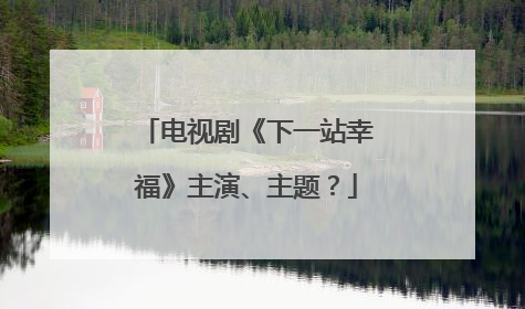 电视剧《下一站幸福》主演、主题?