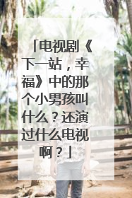 电视剧《下一站,幸福》中的那个小男孩叫什么?还演过什么电视啊?