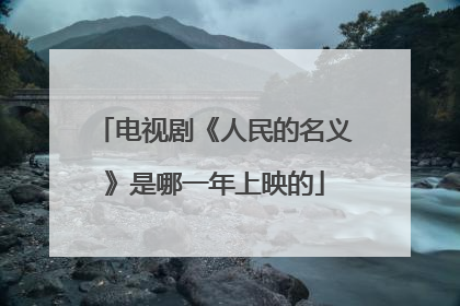 电视剧《人民的名义》是哪一年上映的