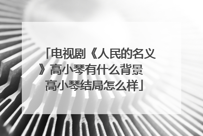 电视剧《人民的名义》高小琴有什么背景 高小琴结局怎么样