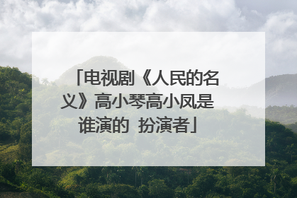 电视剧《人民的名义》高小琴高小凤是谁演的 扮演者