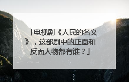 电视剧《人民的名义》，这部剧中的正面和反面人物都有谁？