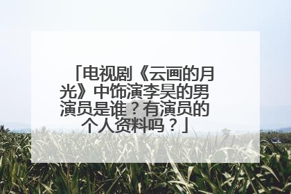 电视剧《云画的月光》中饰演李昊的男演员是谁?有演员的个人资料吗?