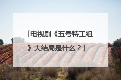 电视剧《五号特工组》大结局是什么？