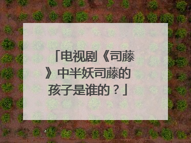 电视剧《司藤》中半妖司藤的孩子是谁的?