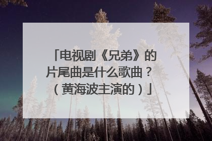 电视剧《兄弟》的片尾曲是什么歌曲?(黄海波主演的)