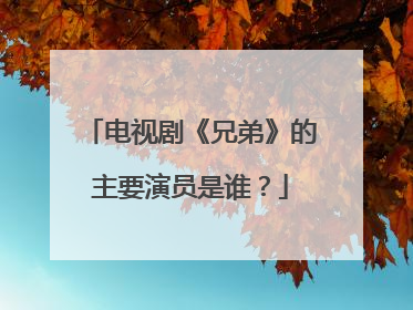 电视剧《兄弟》的主要演员是谁？