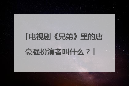 电视剧《兄弟》里的唐豪强扮演者叫什么？